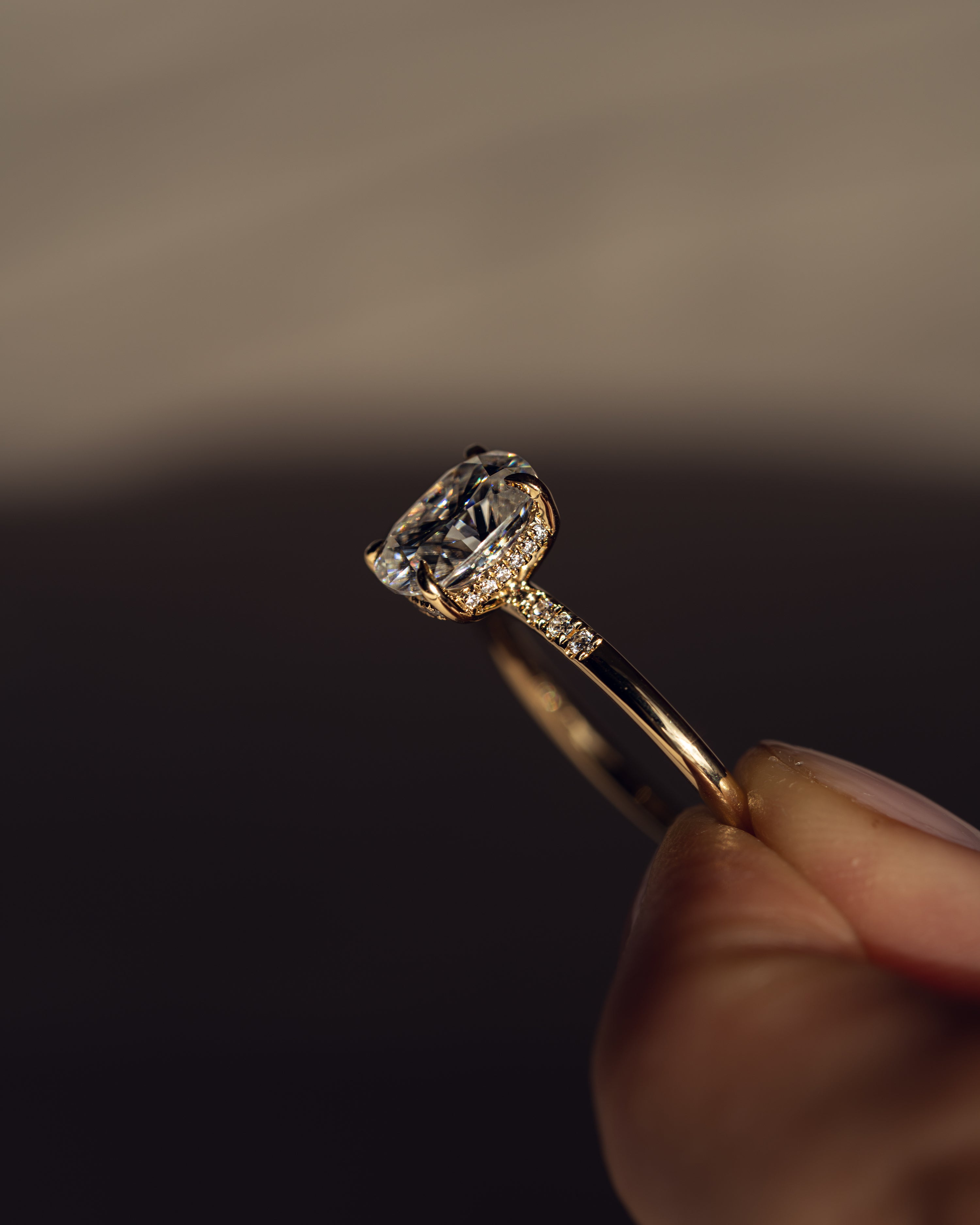 Michelle - Elongated Cushion