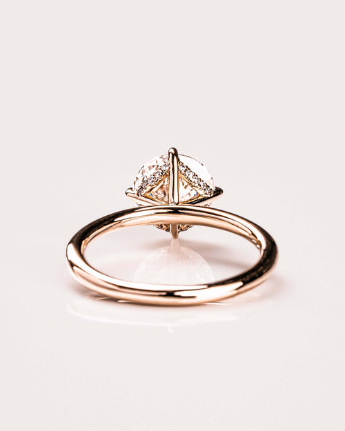 Atlas (with Hidden Halo) - Round